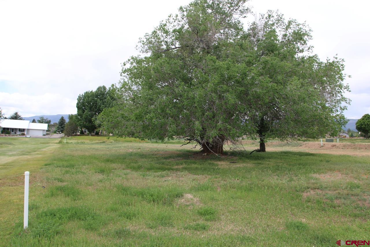 950 Southeast Fairway Drive Cedaredge, CO 81413 - Photo 6 of 20 a view of a field with trees