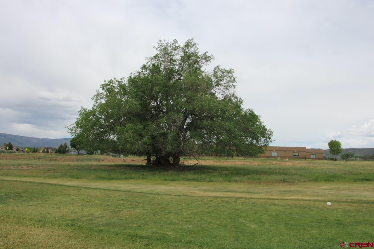 950 Southeast Fairway Drive Cedaredge, CO 81413 - Photo 7 of 20 a view of a field with trees in the background