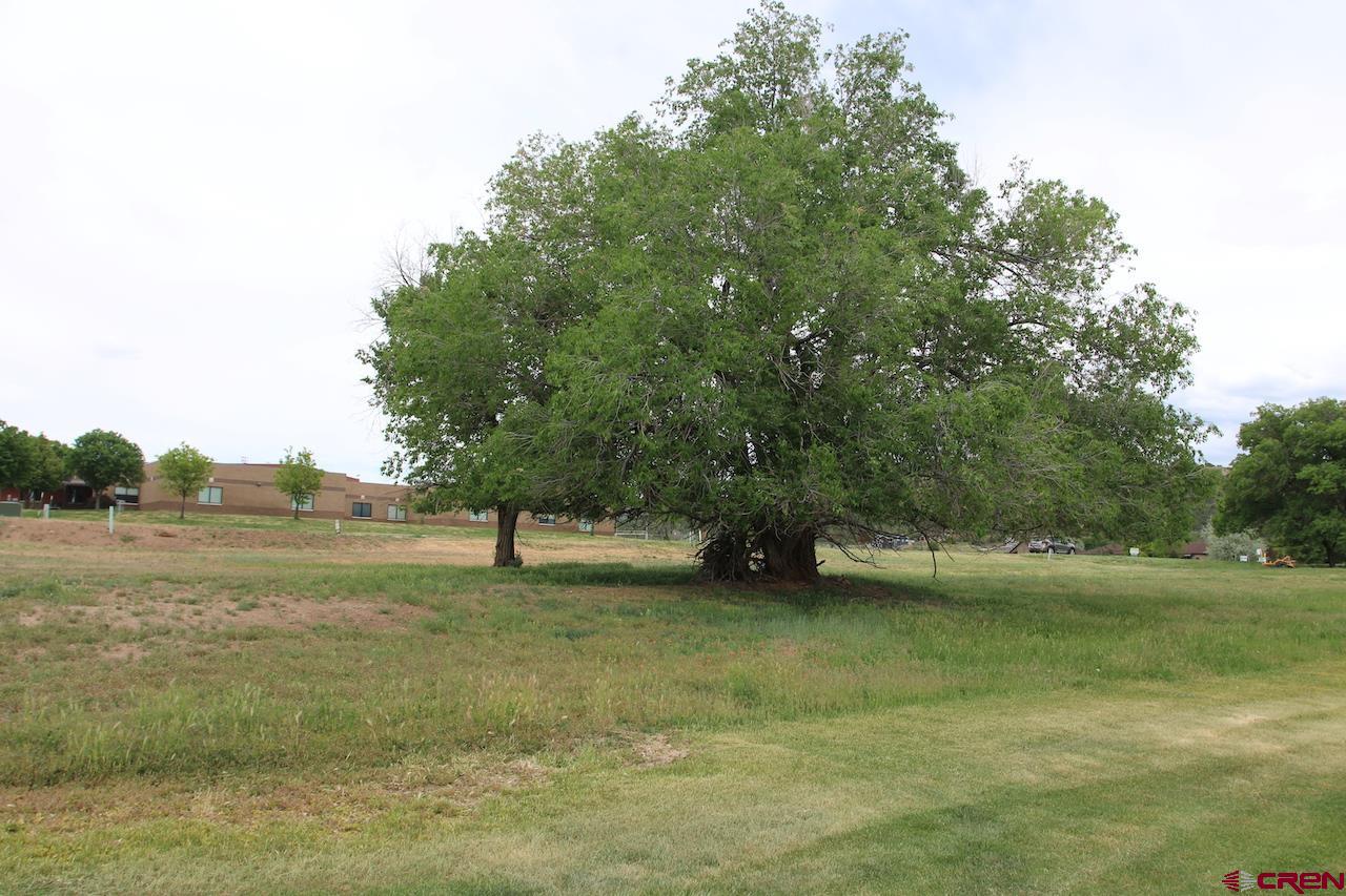 950 Southeast Fairway Drive Cedaredge, CO 81413 - Photo 8 of 20 a view of a lake with a yard