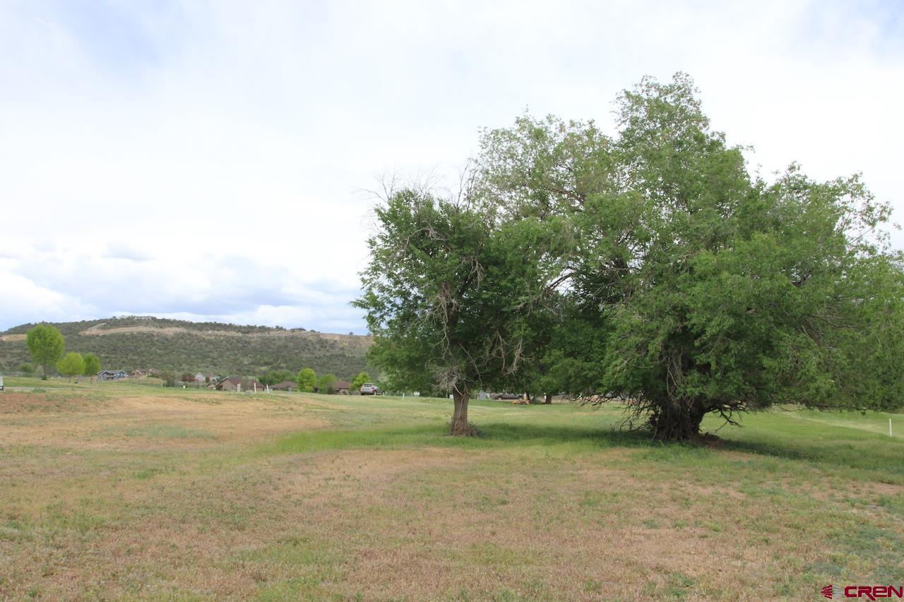 950 Southeast Fairway Drive Cedaredge, CO 81413 - Photo 9 of 20 a view of outdoor space with city view