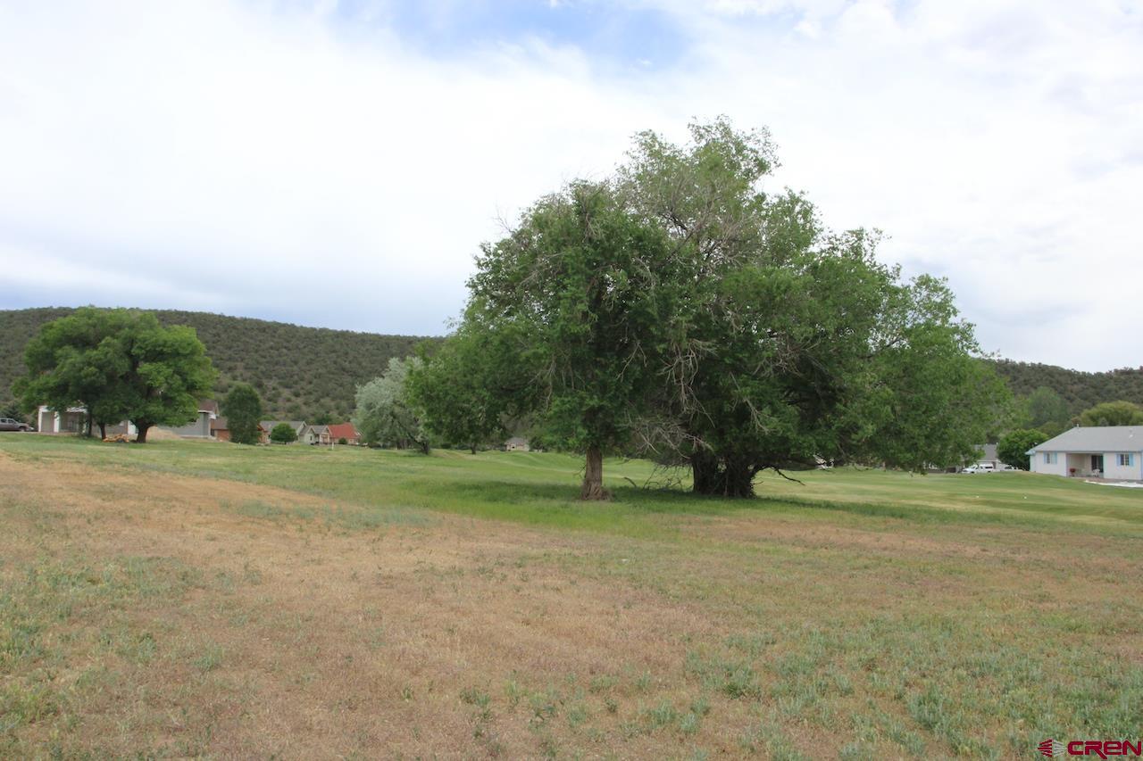 950 Southeast Fairway Drive Cedaredge, CO 81413 - Photo 10 of 20 a view of outdoor space with trees all around