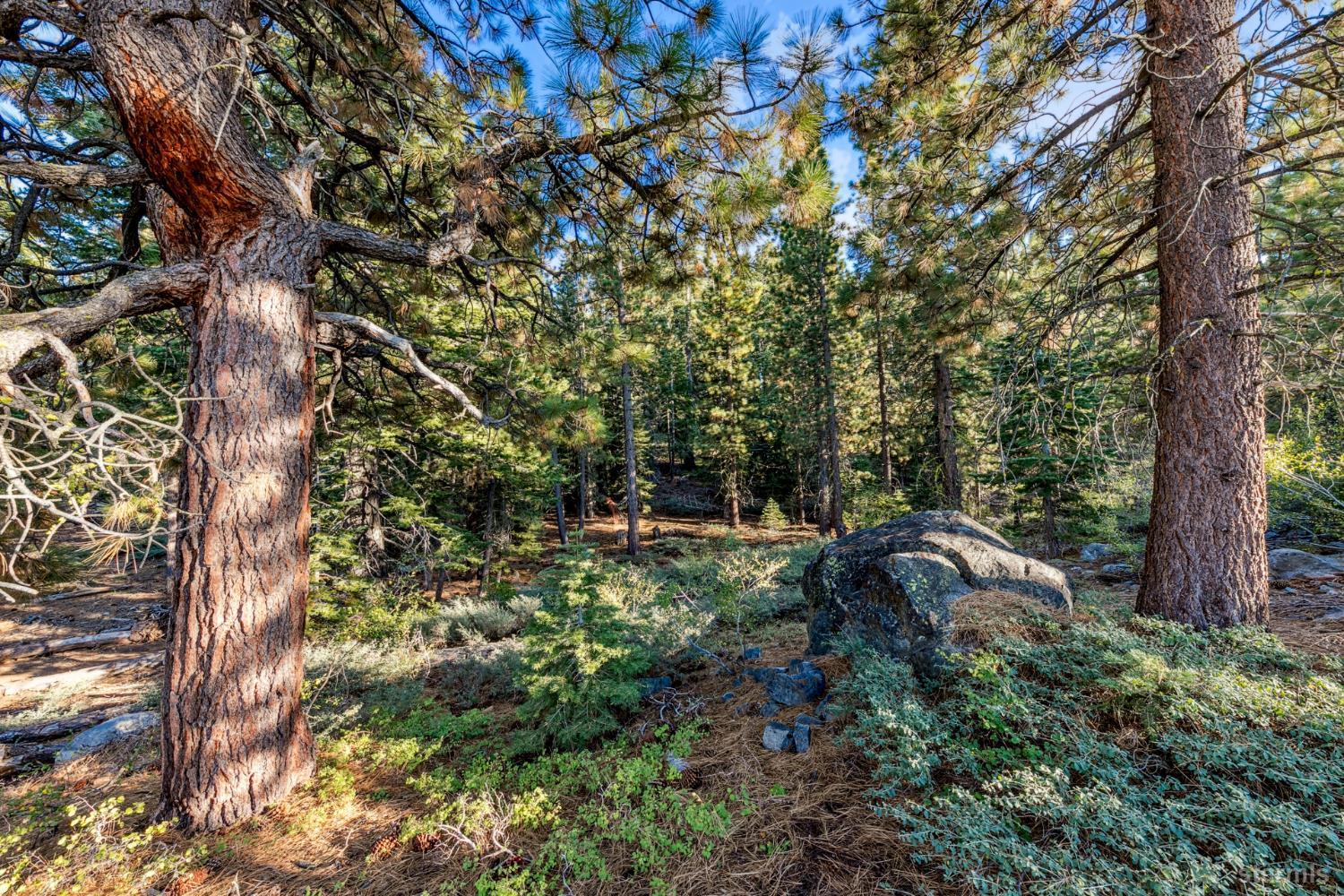 350 Glenmore Way South Lake Tahoe, CA 96150 - Photo 12 of 37 a view of backyard with green space