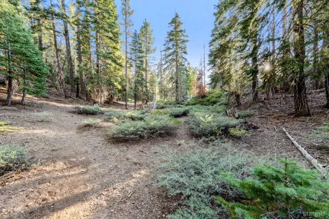 a backyard of a house with lots of green space