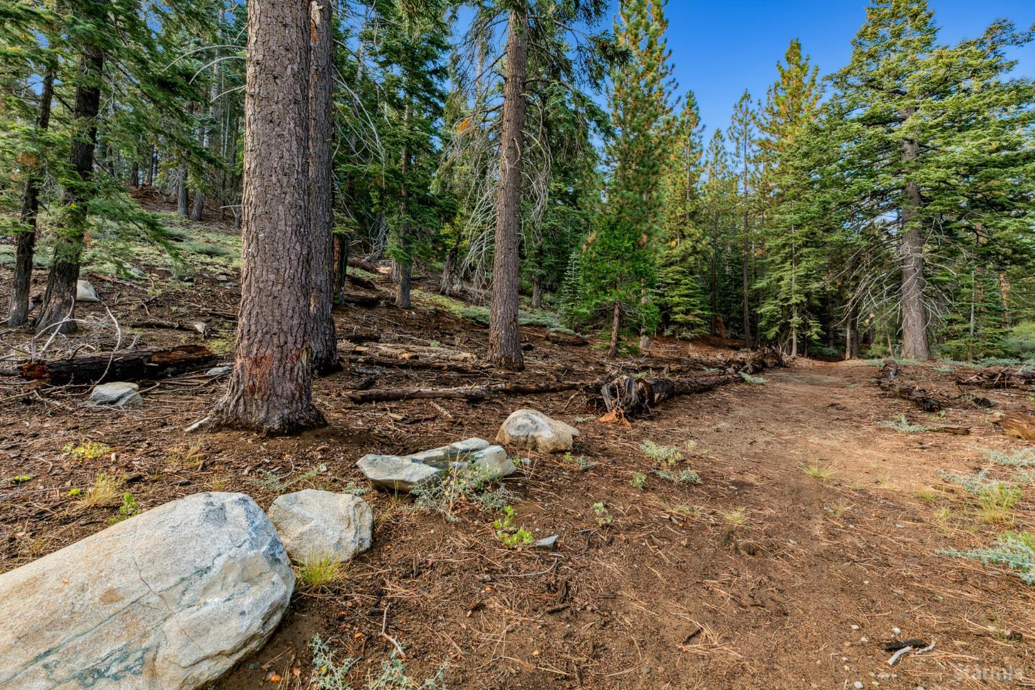 350 Glenmore Way South Lake Tahoe, CA 96150 - Photo 17 of 37 a backyard of a house with lots of green space