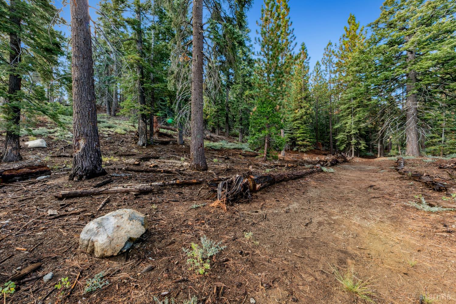 350 Glenmore Way South Lake Tahoe, CA 96150 - Photo 18 of 37 a backyard of a house with lots of green space