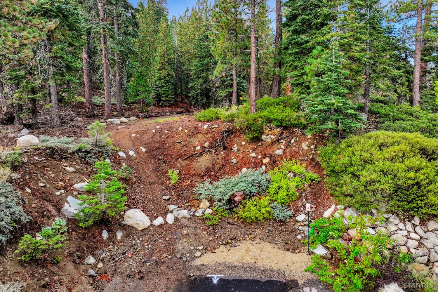 350 Glenmore Way South Lake Tahoe, CA 96150 - Photo 19 of 37 a view of a tree with plants and a trees in the background