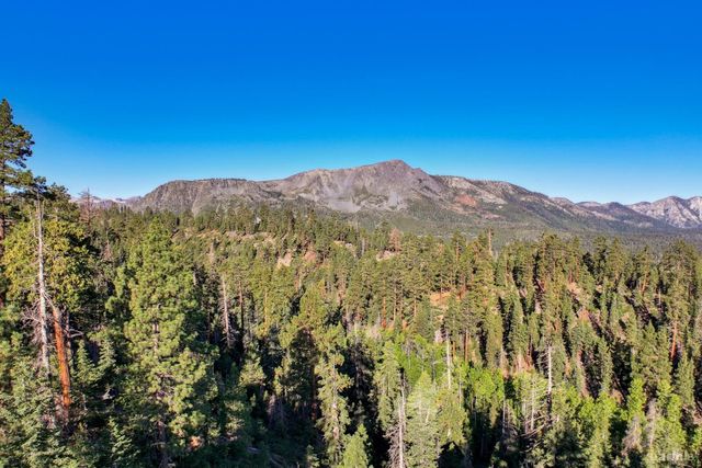 a view of a lush green hillside and a mountain