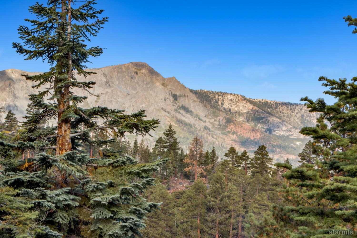 350 Glenmore Way South Lake Tahoe, CA 96150 - Photo 2 of 37 a view of a tree in a yard