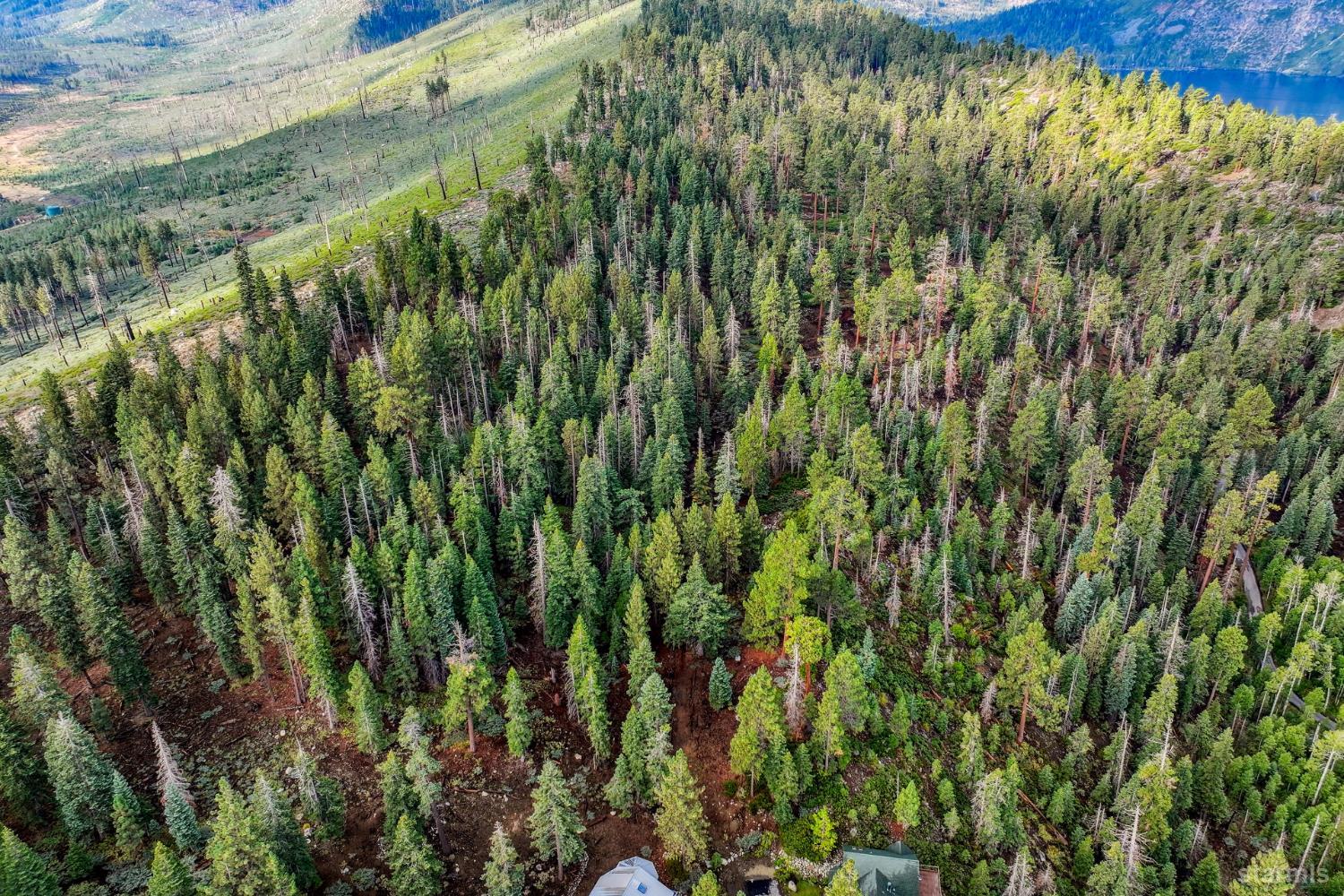 350 Glenmore Way South Lake Tahoe, CA 96150 - Photo 22 of 37 a view of a garden