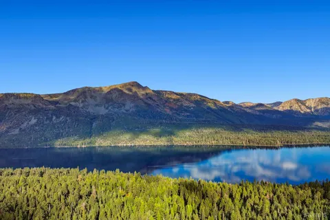 a view of a large tree with a mountain in the background