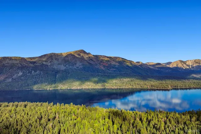 a view of a large tree with a mountain in the background