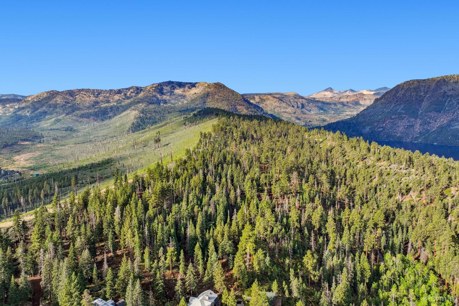 350 Glenmore Way South Lake Tahoe, CA 96150 - Photo 24 of 37 a view of a large tree with a mountain in the background