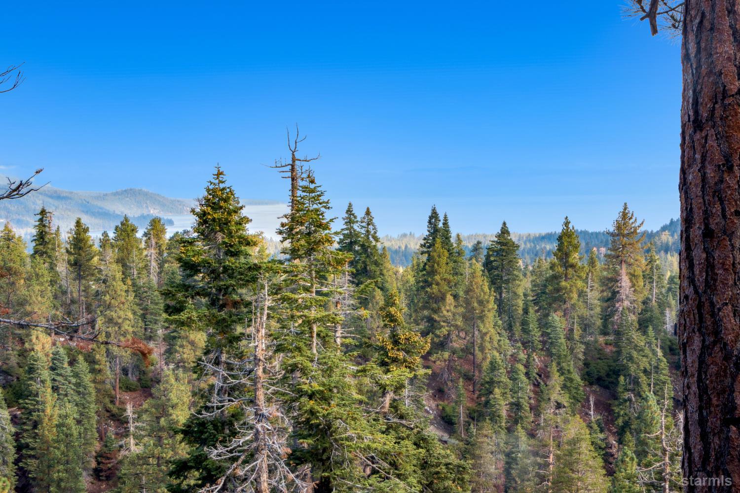 350 Glenmore Way South Lake Tahoe, CA 96150 - Photo 27 of 37 a view of a city with lush green forest