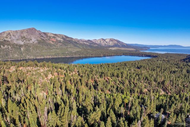 a view of a lake in middle of the forest