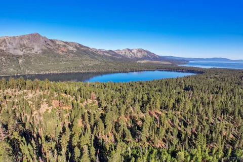 a view of a forest with a mountain