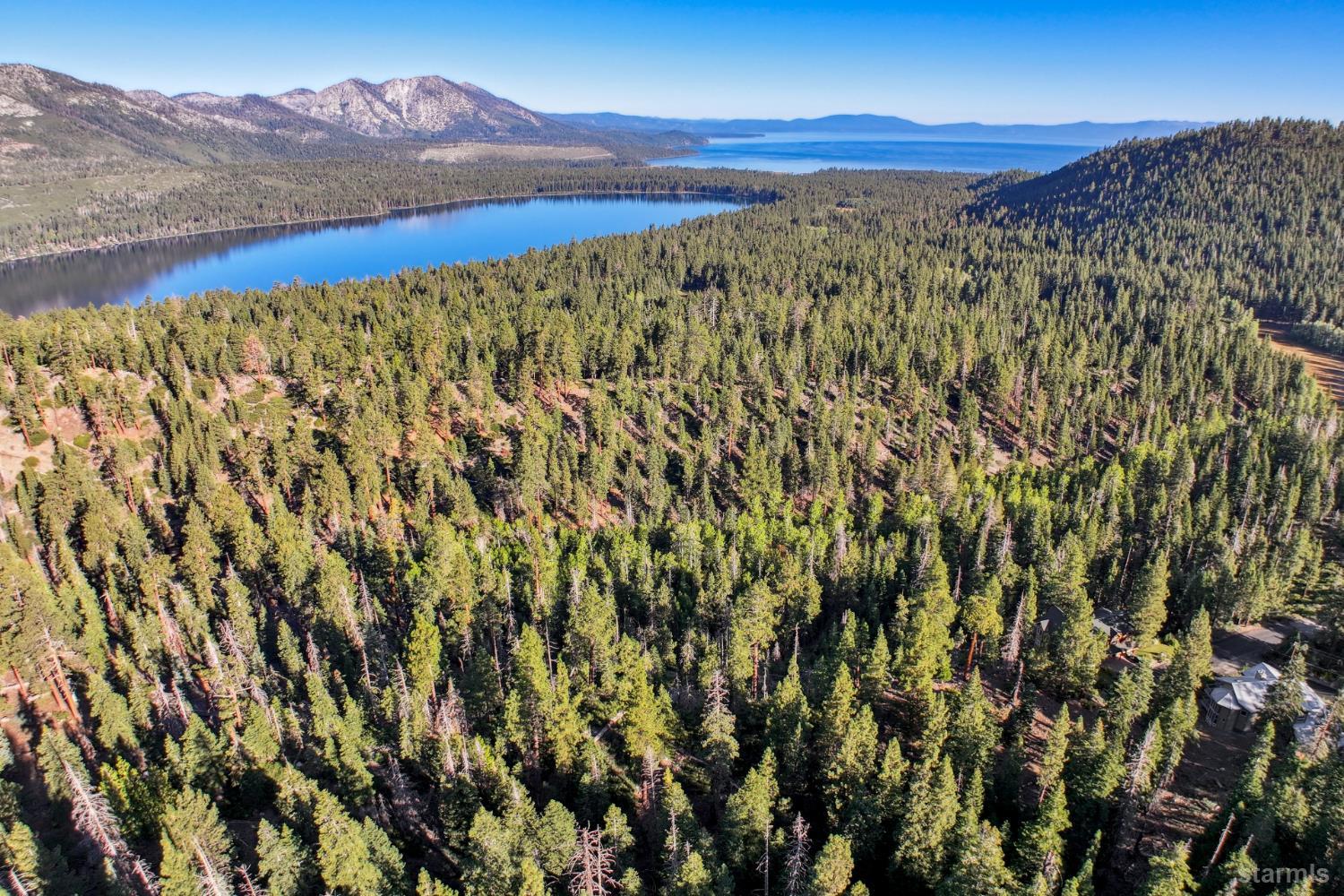 350 Glenmore Way South Lake Tahoe, CA 96150 - Photo 35 of 37 a view of a forest with a mountain