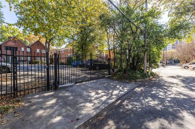 a view of a yard with plants and trees