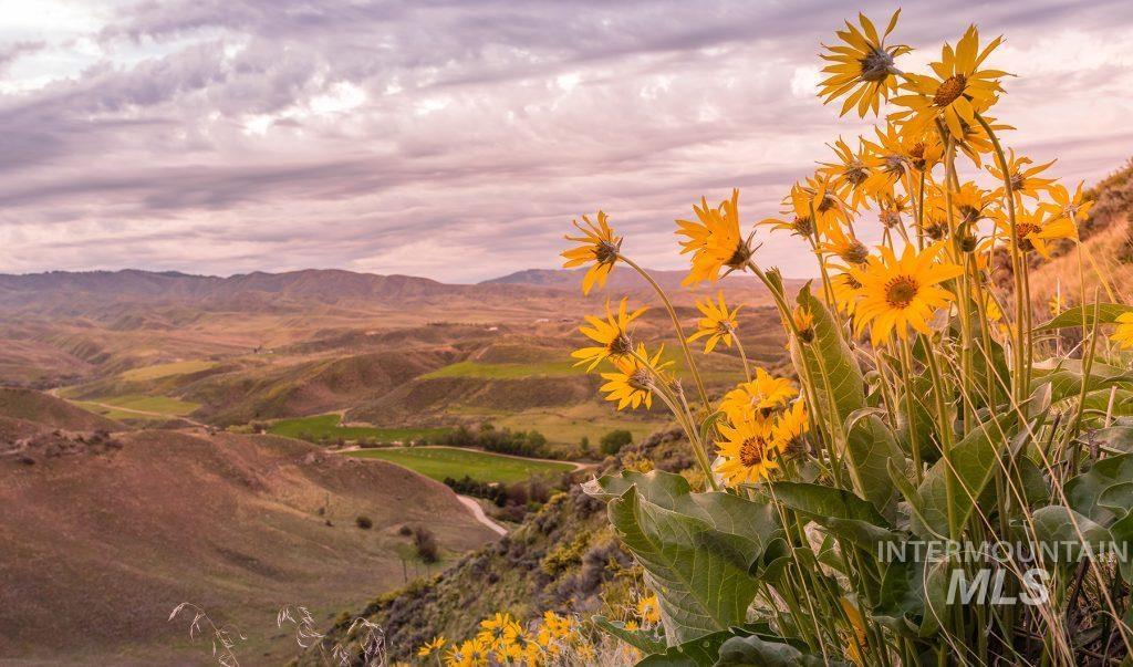 11385 North Misty Ridge Way Boise, ID 83714 - Photo 41 of 45