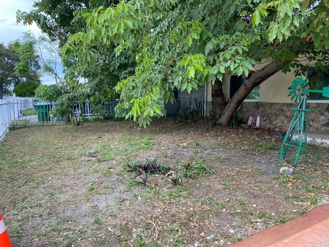 a view of a forest with trees in the background