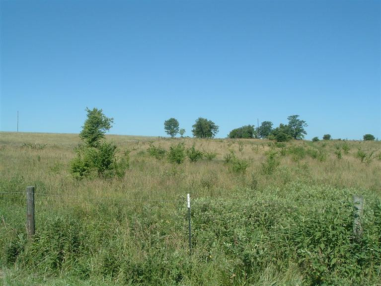 0 Quirks Run Road, Unit LOT 6 Danville, KY 40422 - Photo 3 of 7 Photo 3