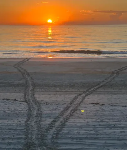 $2,875,000 | 7840 Jimmy Buffett Mem Highway, St. Augustine, FL 32080