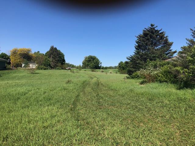 290 Rasmussen Drive Trufant, MI 49347 - Photo 2 of 4 Greg 2