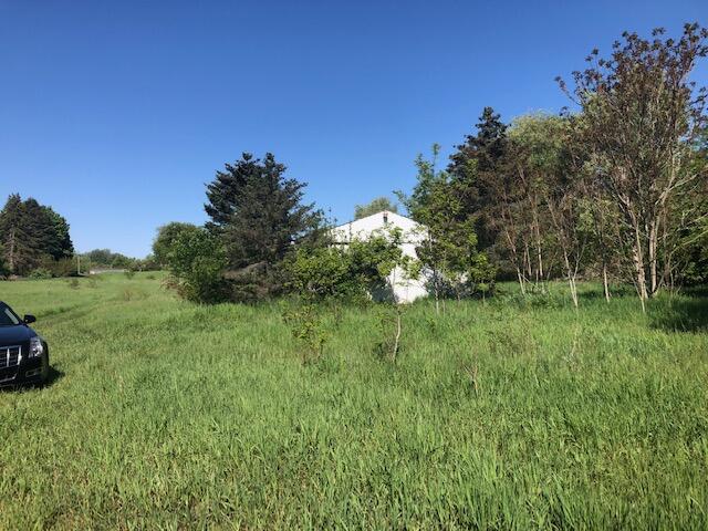 290 Rasmussen Drive Trufant, MI 49347 - Photo 3 of 4 Greg 3