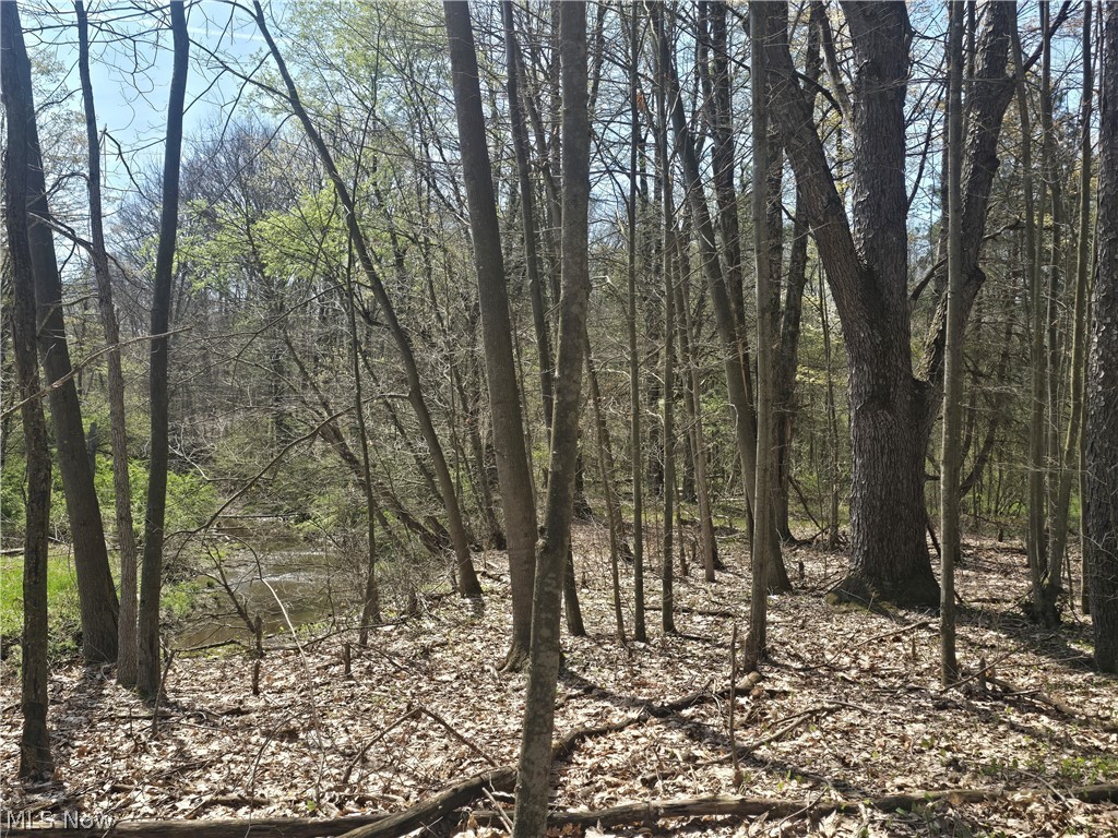 Tische Road Jefferson, OH 44047 - Photo 16 of 21