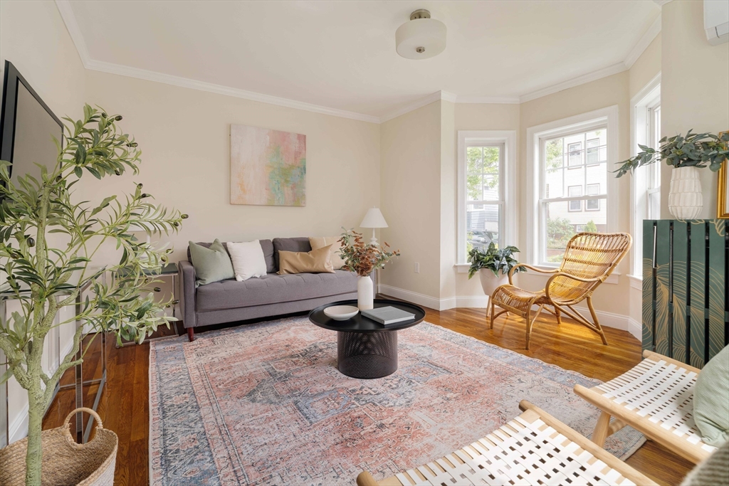 16 Partridge Avenue Somerville, MA 02145 - Photo 2 of 32 a living room with patio furniture and a potted plant