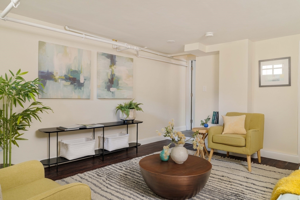 16 Partridge Avenue Somerville, MA 02145 - Photo 24 of 32 a living room with furniture and a potted plant