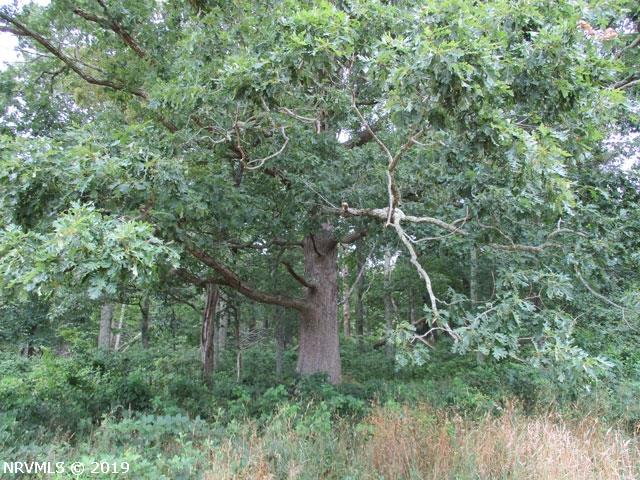 0 Buffalo Mountain Road Southwest Meadows Of Dan, VA 24120 - Photo 16 of 22 Gallery Image 16