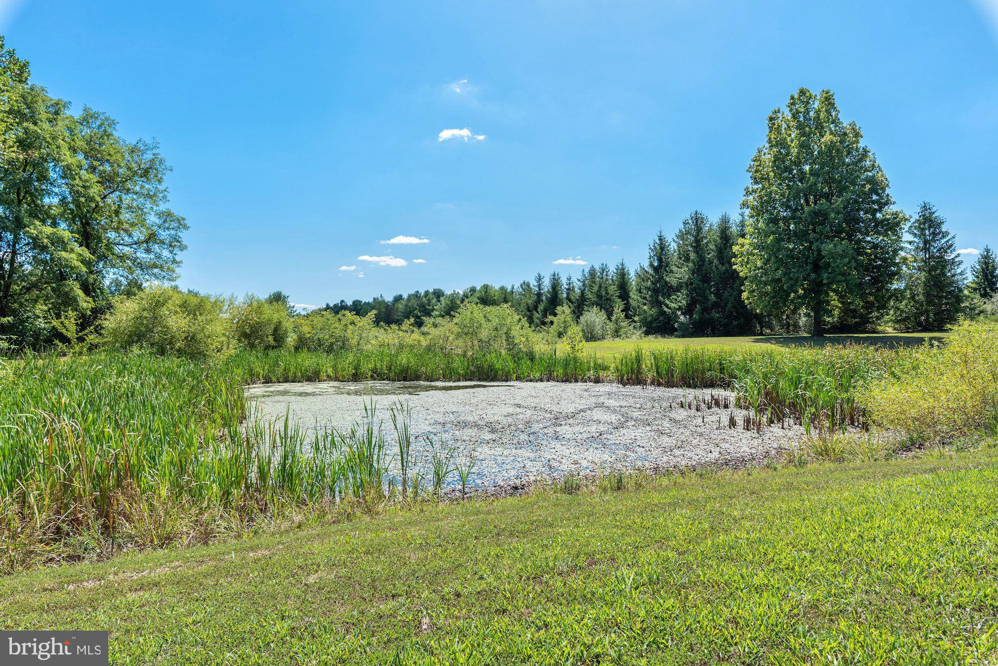 1177 Redbud Road Winchester, VA 22603 - Photo 4 of 45 Love the pond! Views from the deck