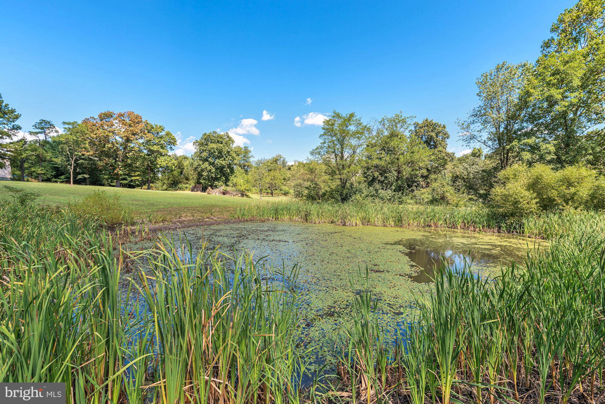 1177 Redbud Road Winchester, VA 22603 - Photo 6 of 45 A great resource for wildlife watching!