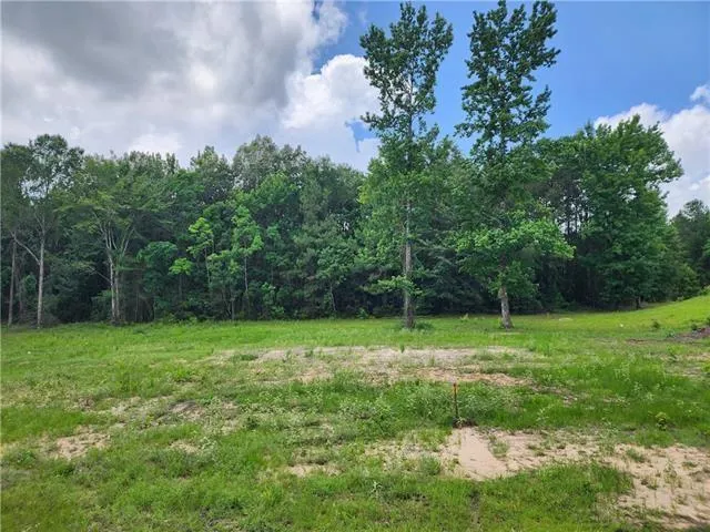 $109,500 | 0 Richfield Place, Pineville, LA 71360