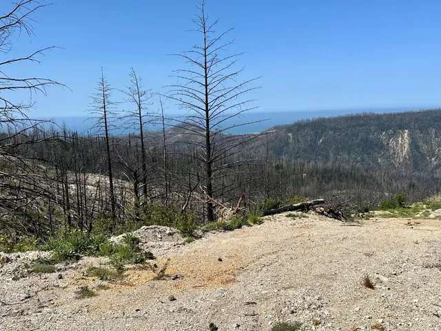 a view of a yard covered with snow