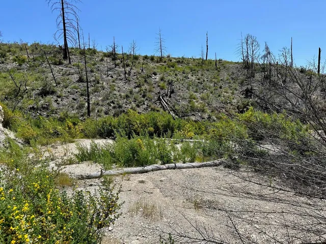 a view of a lake view