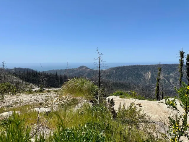 a view of a house with a snow on the road