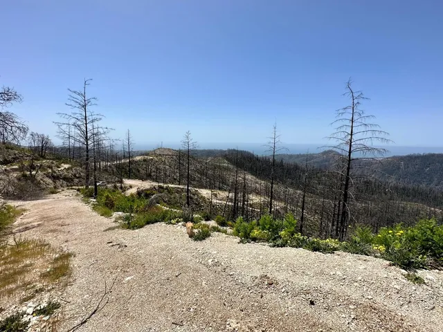 $199,000 | 0 South Pine Mountain Road, Davenport, CA 95017