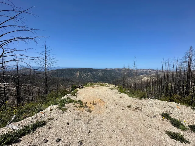 a view of a dry yard covered with snow in the background
