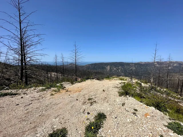 a view of a lake with a house in the background
