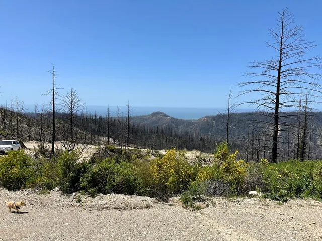 a view of a dirt road with a building in the background