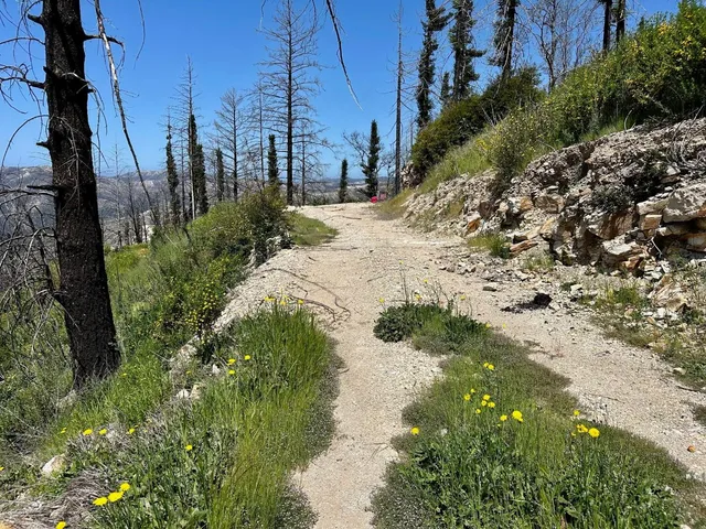 a view of a swimming pool