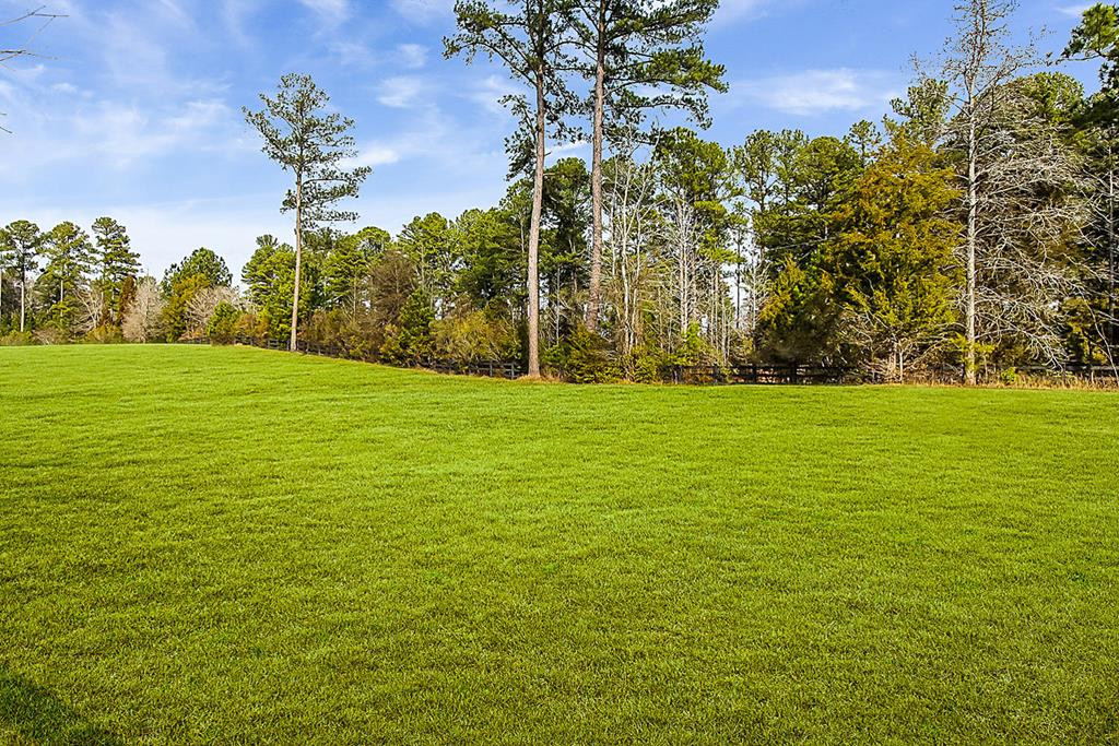 2704 Dozier Road Appling, GA 30802 - Photo 65 of 72