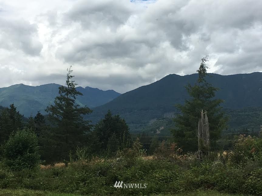 486 McInnis Road Quilcene, WA 98376 - Photo 2 of 9