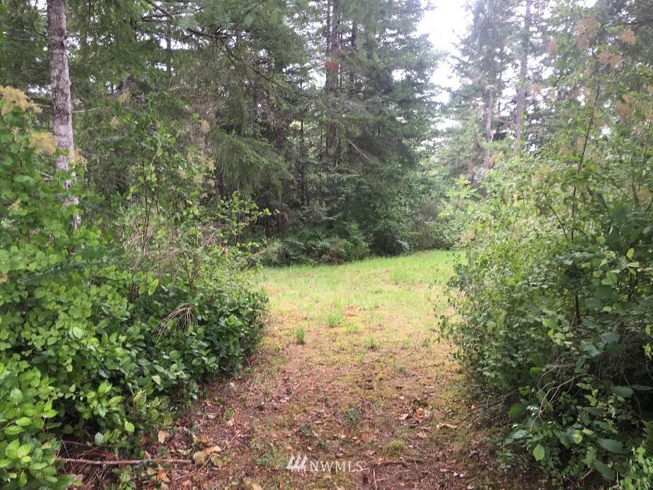 486 McInnis Road Quilcene, WA 98376 - Photo 3 of 9