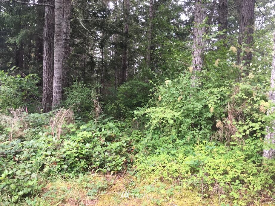 486 McInnis Road Quilcene, WA 98376 - Photo 4 of 9