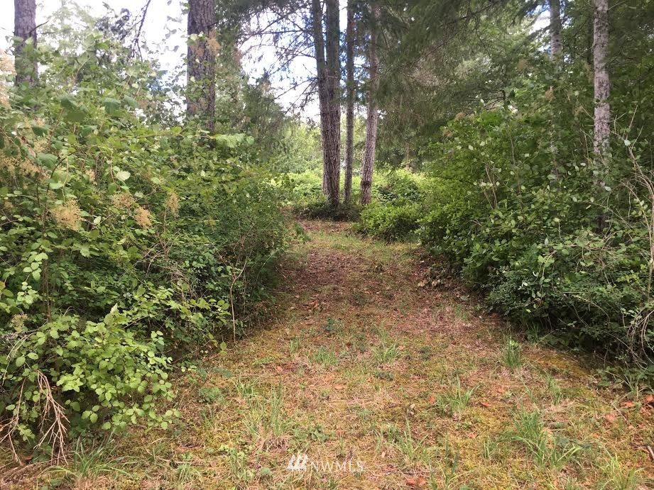 486 McInnis Road Quilcene, WA 98376 - Photo 5 of 9