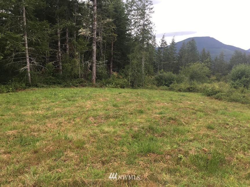 486 McInnis Road Quilcene, WA 98376 - Photo 7 of 9