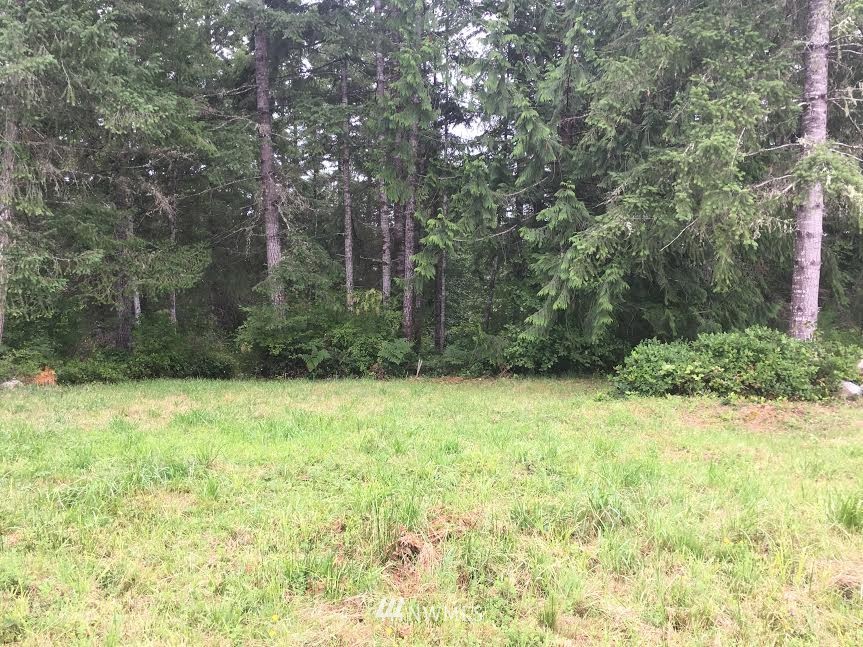486 McInnis Road Quilcene, WA 98376 - Photo 8 of 9
