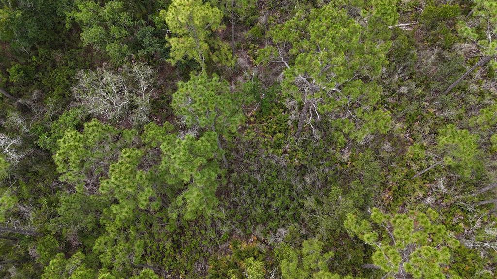 10-11 Adams Beach Road Perry, FL 32348 - Photo 17 of 38